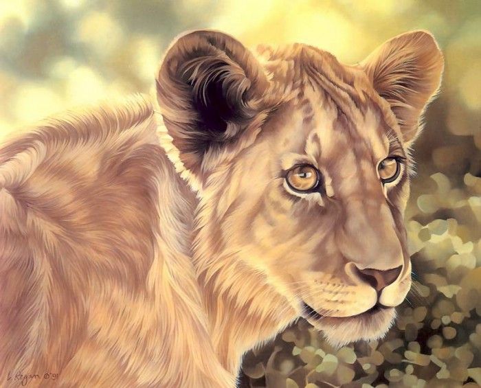 s4-vanishingspecies030-lion. , L