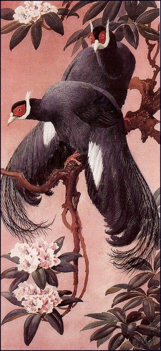 43612. Tunnicliffe, 