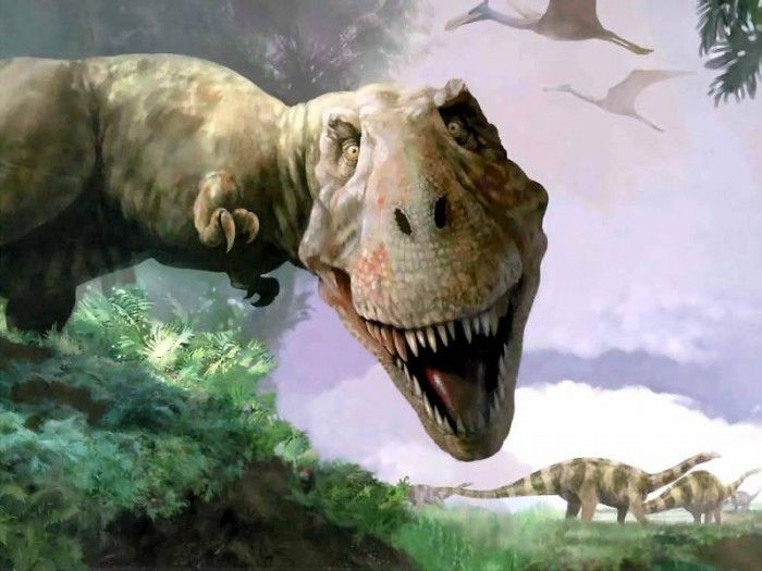 dinosaurs csg015  tyrannosaurus rex. , 