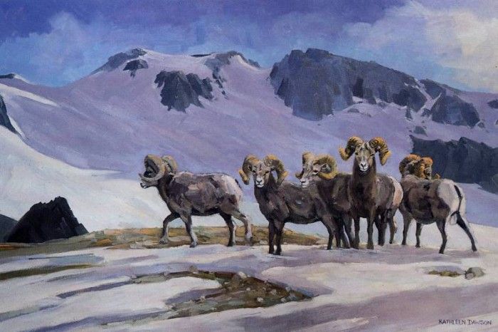 Kathleen Dawson - Bighorn Sheep, Warner Pass, De. , 