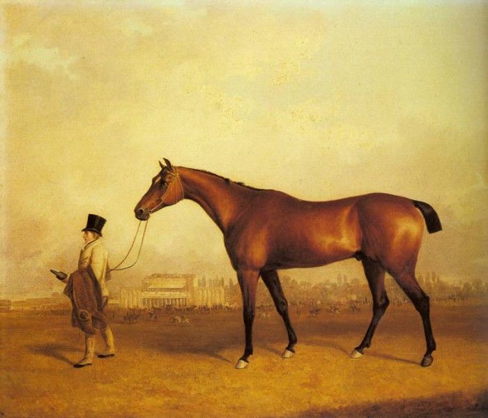 Ferneley Sr John E Emilius Winner Of The 1832 Derby. Ferneley, 