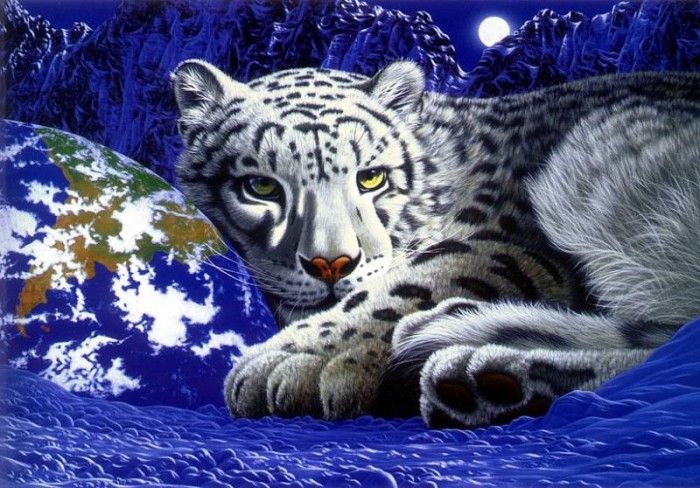 06. Schimmel, ������