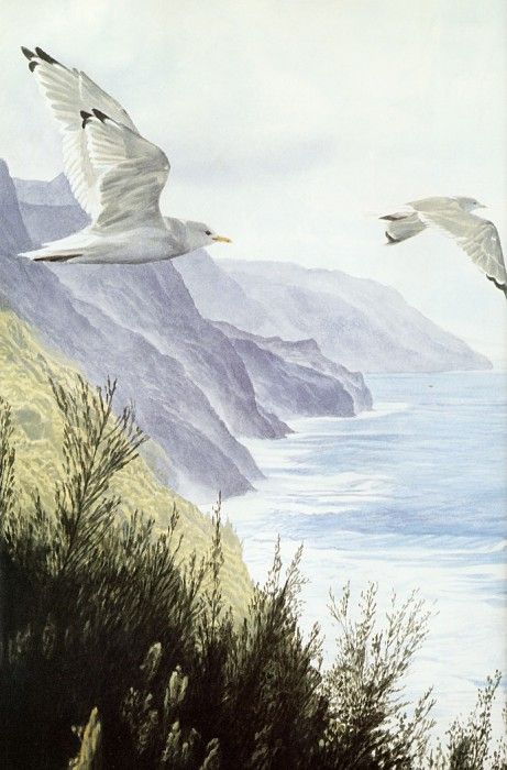 Parker, Ron - Mew Gull (end. ������, ���