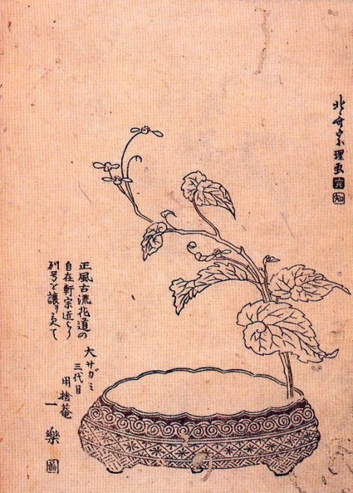 pic09497. �������