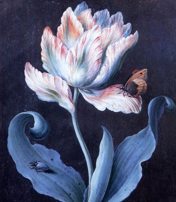 Barbara Dietzsch - Parrot Tulip, Butterfly and Scarab, De. Dietzsch, 
