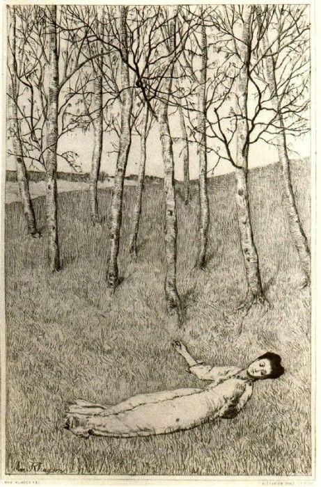 18339. �������, ����