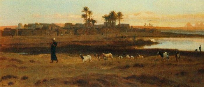 Leading the Flock Early Morning Cairo. , 