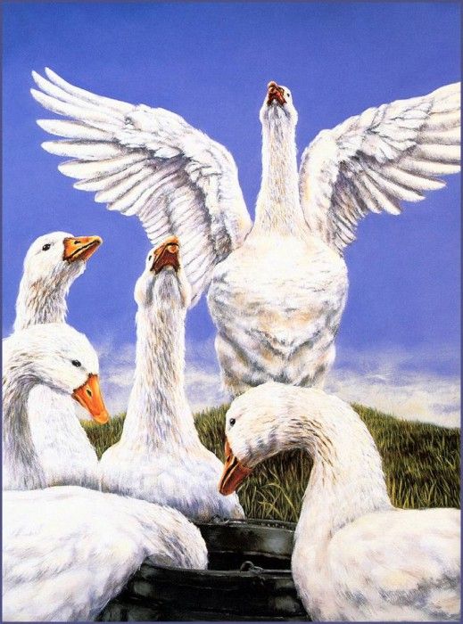 lrsBB02AllenKimball-Goose. , 