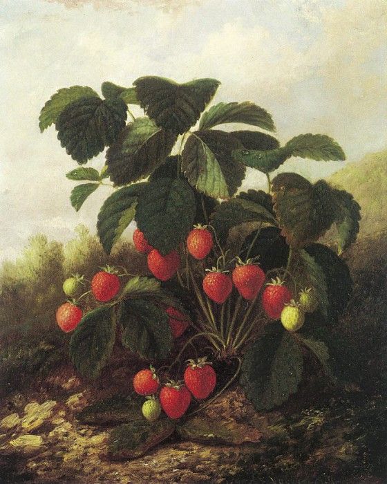 lacroix1. 