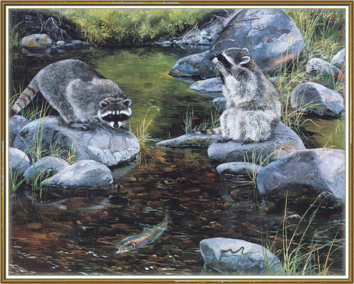 KissAndrew-A Mountain Alphabet-Raccoons-WeaISC. , 