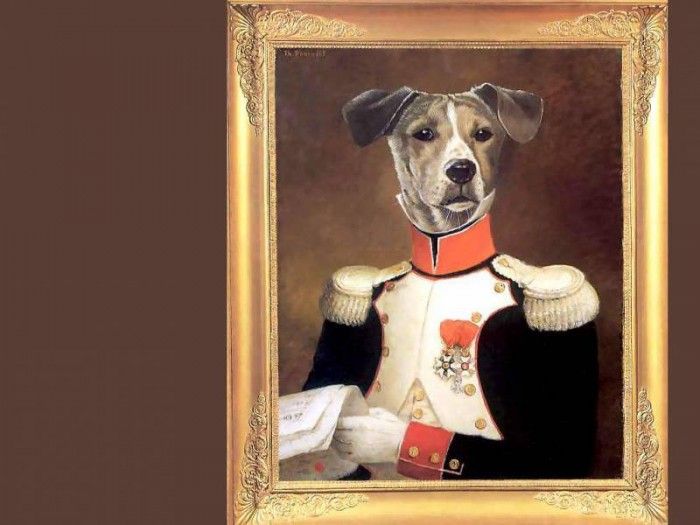 dog portraits csg023 duke fyodor kacharatov. �������, ������