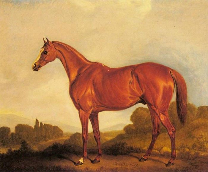 Ferneley John A Portrait Of The Racehorse Harkaway. Ferneley, 