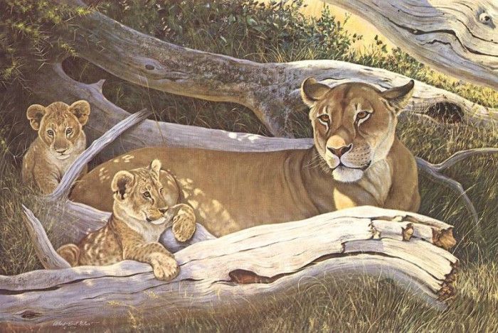 bs- Albert Earl Gilbert- African Lioness And Cubs. ,  