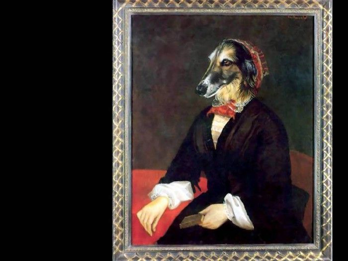 dog portraits csg054 miss neva sneldrake. , 