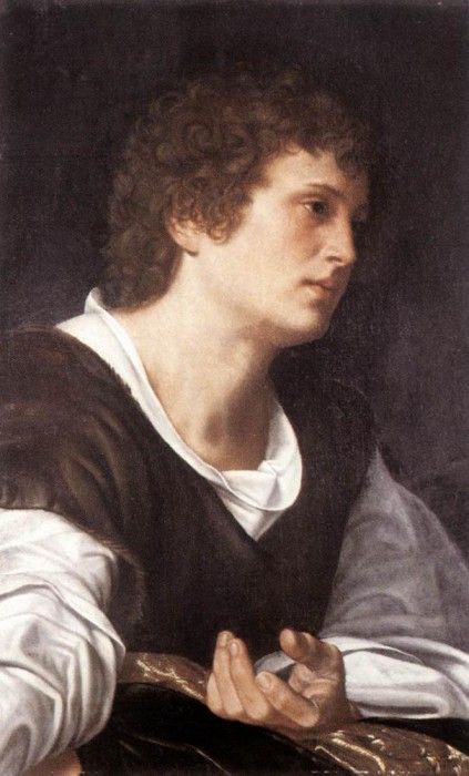 SAVOLDO Giovanni Girolamo Buts Of A Youth. ,  
