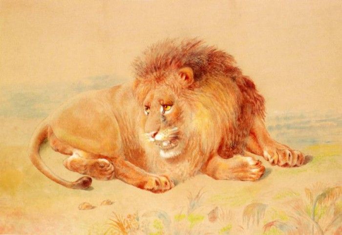 Huggins William Lion. ,  