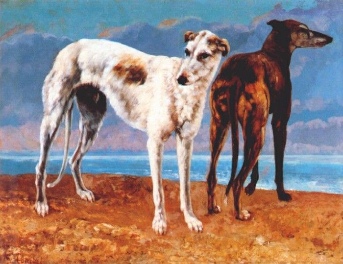 courbet greyhounds of comte de choiseul 1866. , 