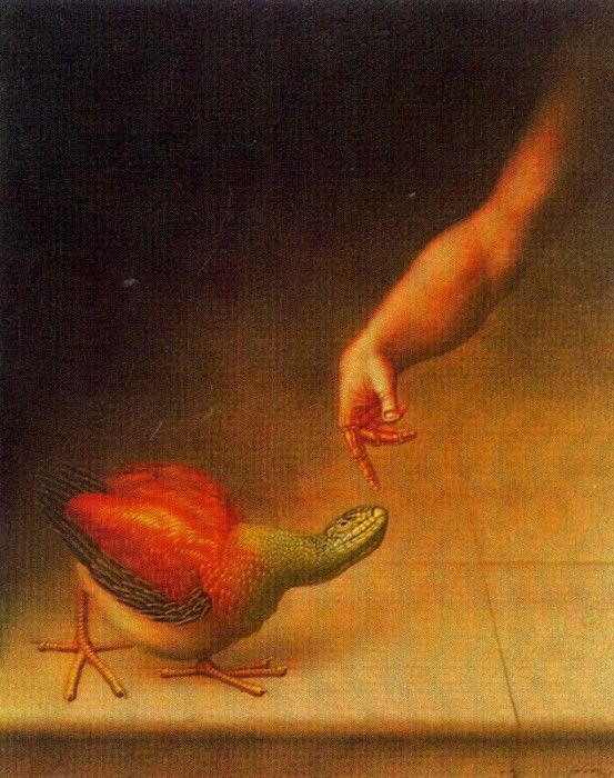 06804.  
