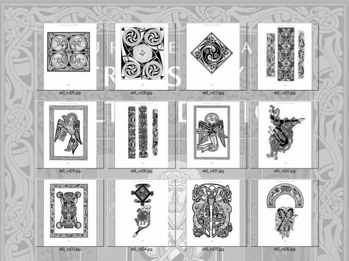 !xlr8 cd idx03. �����, ������