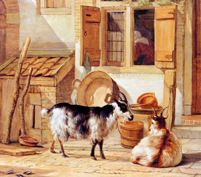 Strij van Abraham Two goats in a yard . Strij,  