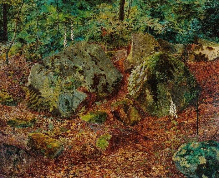 A Mossy Glen.   