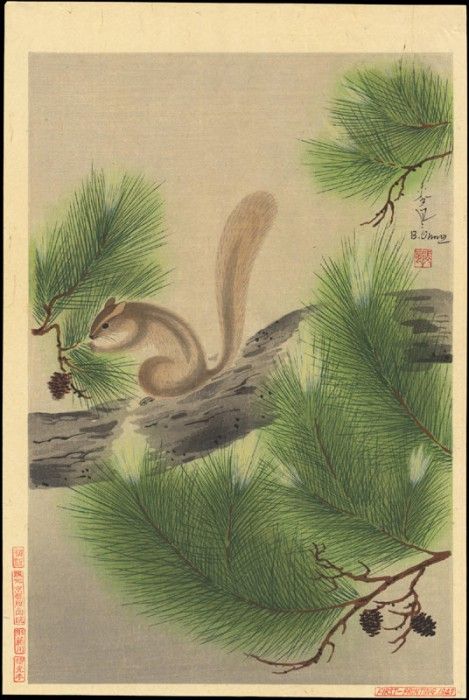 pic13695. ���, ������