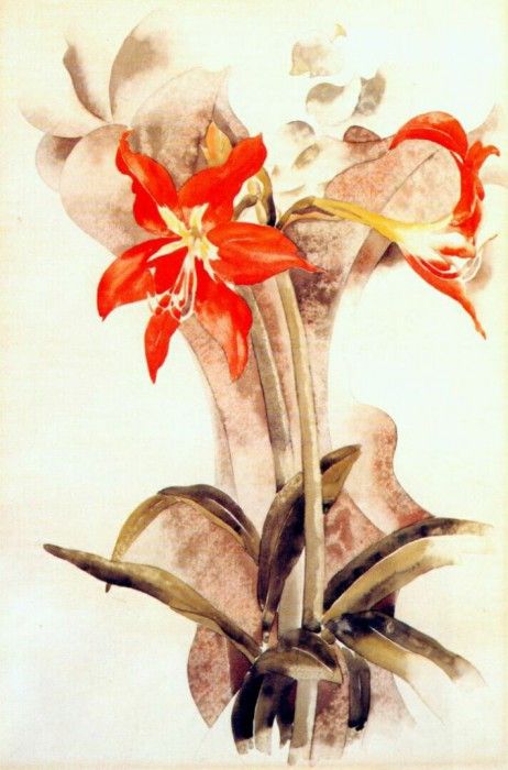 demuth amaryllis c1923. , 