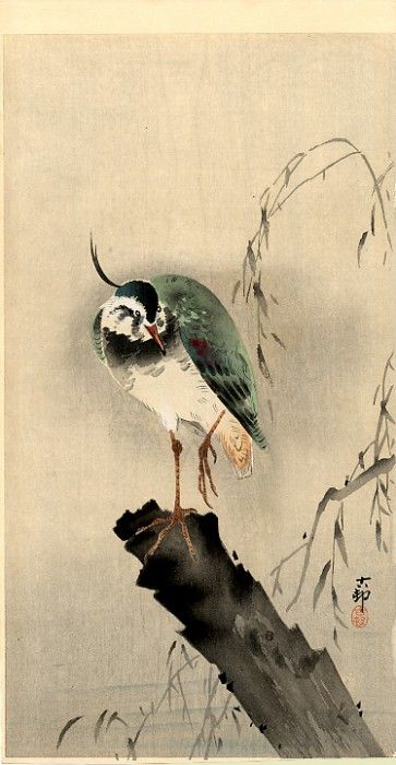 pic02249. �����