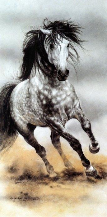 kb Harrison Glorious Gray. , 
