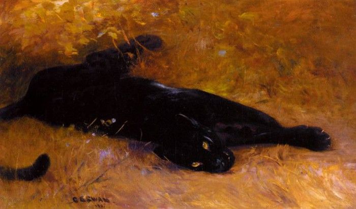 Swan Cuthbert Edmund The Black Panther. ,  