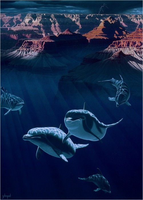 Beneath the Grand Master. Schimmel, ������