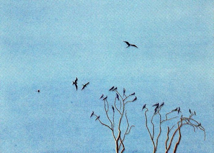 16741. ����, �������