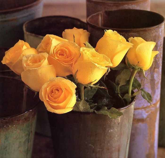 Maria Robledo - Yellow Roses, De. , 