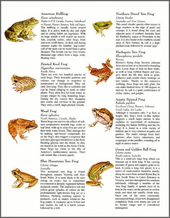 pa TonyOliver FrogsSingSongs 15b. , 