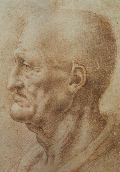 Study of an old man. ,  