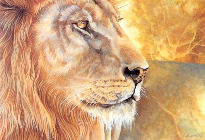 s4-vanishingspecies029-lion. , L