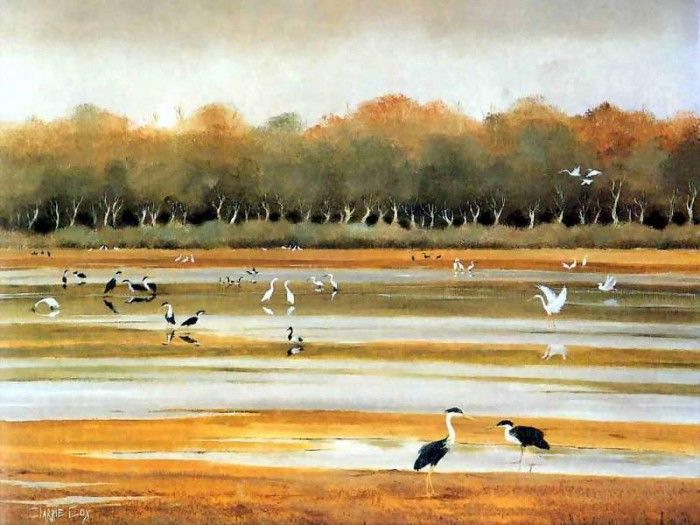 clarrie cox csg011 kakadu national park. , 