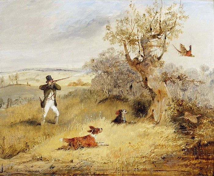 Pheasant Shooting. ,  