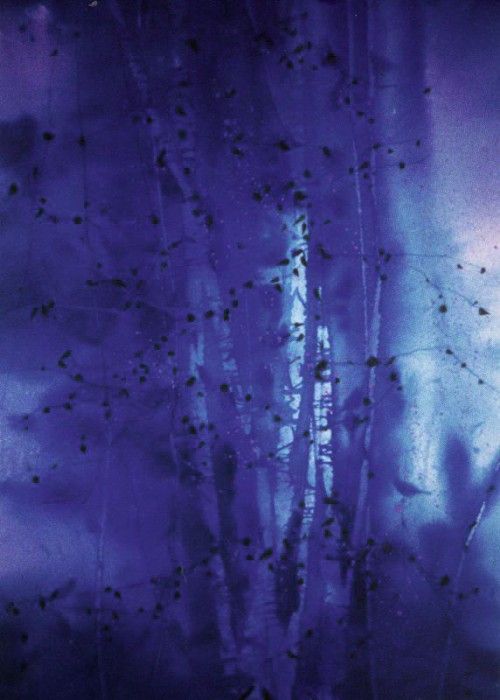 27129. Carbonetti, �����