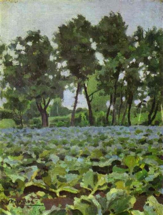 07151. -,  (1870-1905)