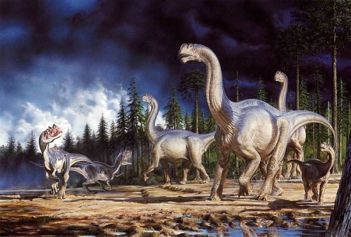 ma Sp7 Bonner Paul Camarasaurs & Ceratosaurs.  