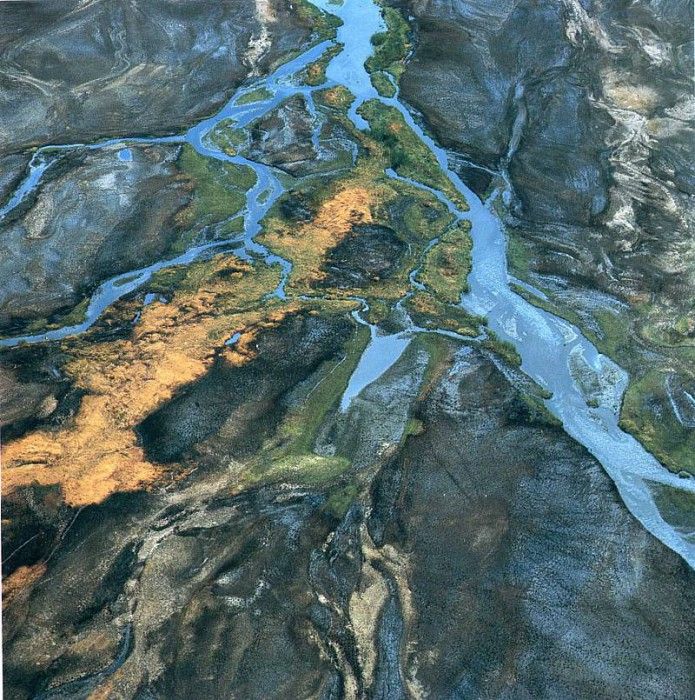 art 665. , 