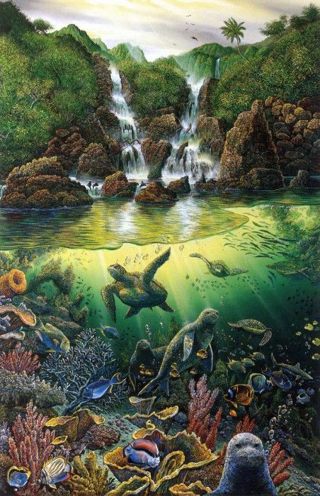 kb RLN Viridian Overture. �������, ������ ���