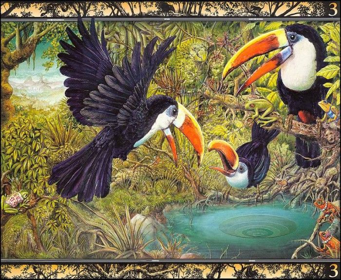 lrsBaseGraeme Waterhole03Toucans. , 