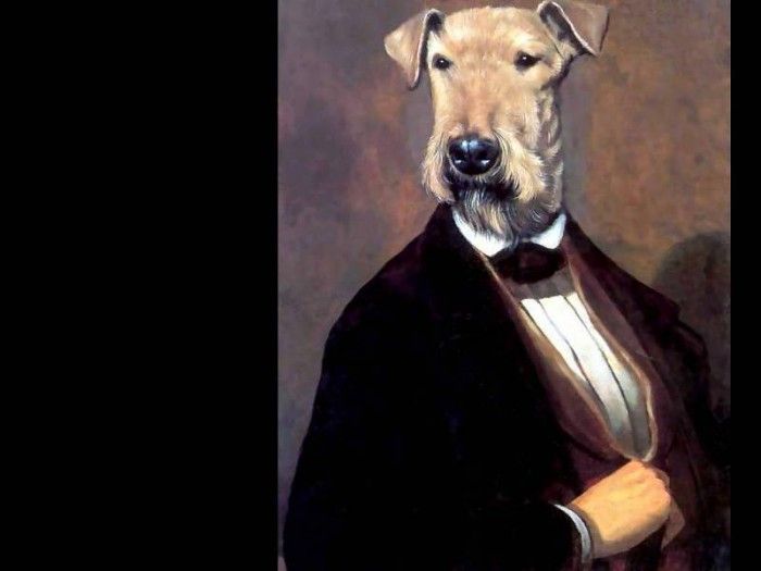 dog portraits csg040 the fifth earl of hearsay. , 