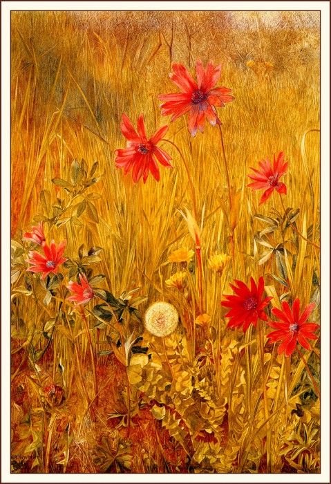 bs-flo- Henry Roderick Newman- Wild Flowers. ,  