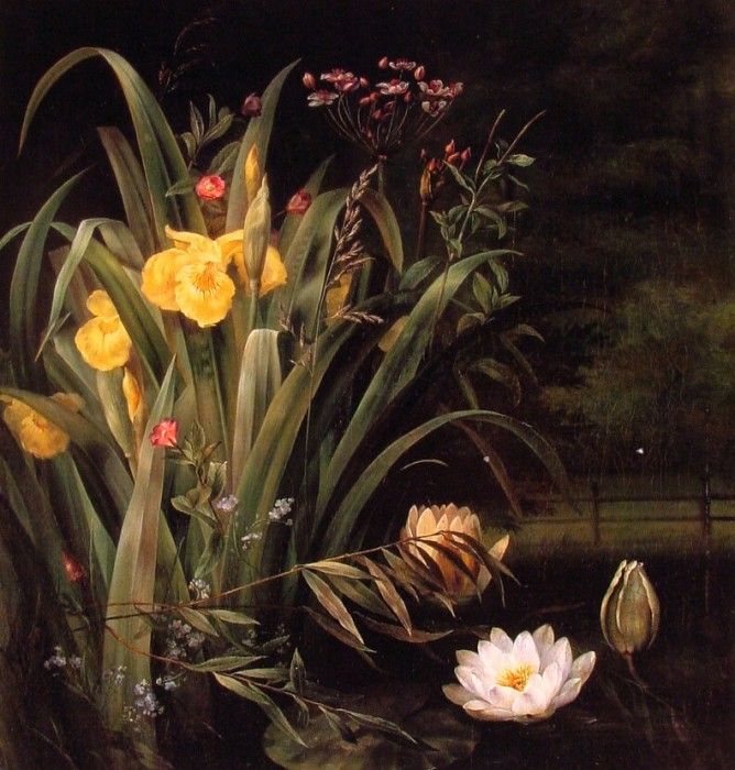 A Lily Pond. Neergard, Hermania Sigvardine