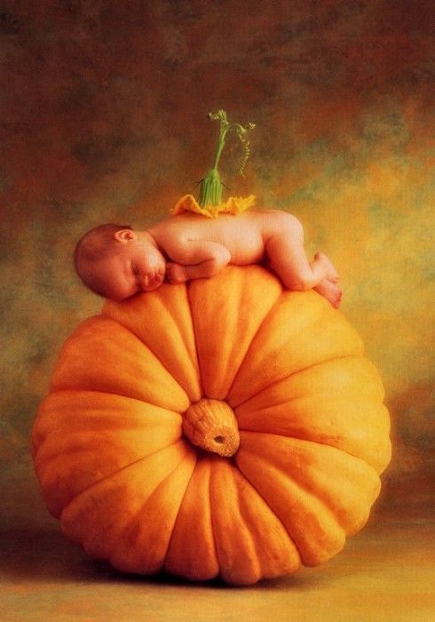 Anne Geddes - Unknown, De. , 