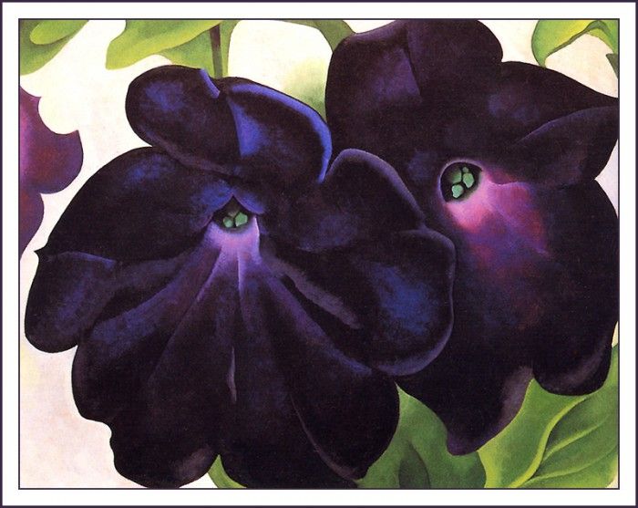 bs-flo- Georgia O Keefe- Black And Purple Petunias.   O