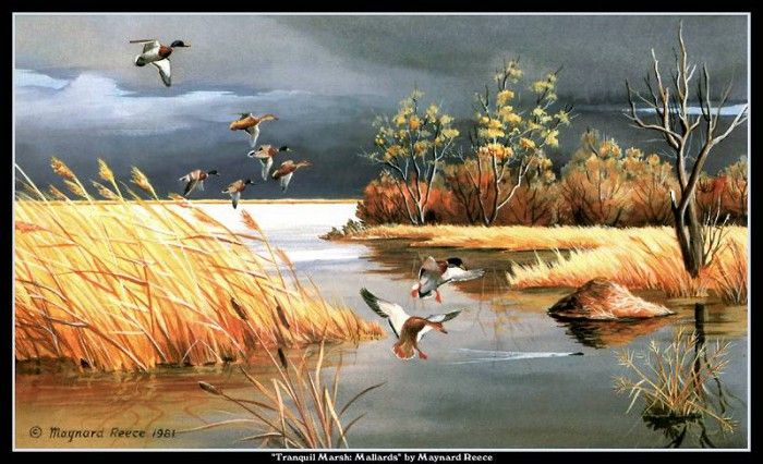 cr MaynardReece020. ���, �������